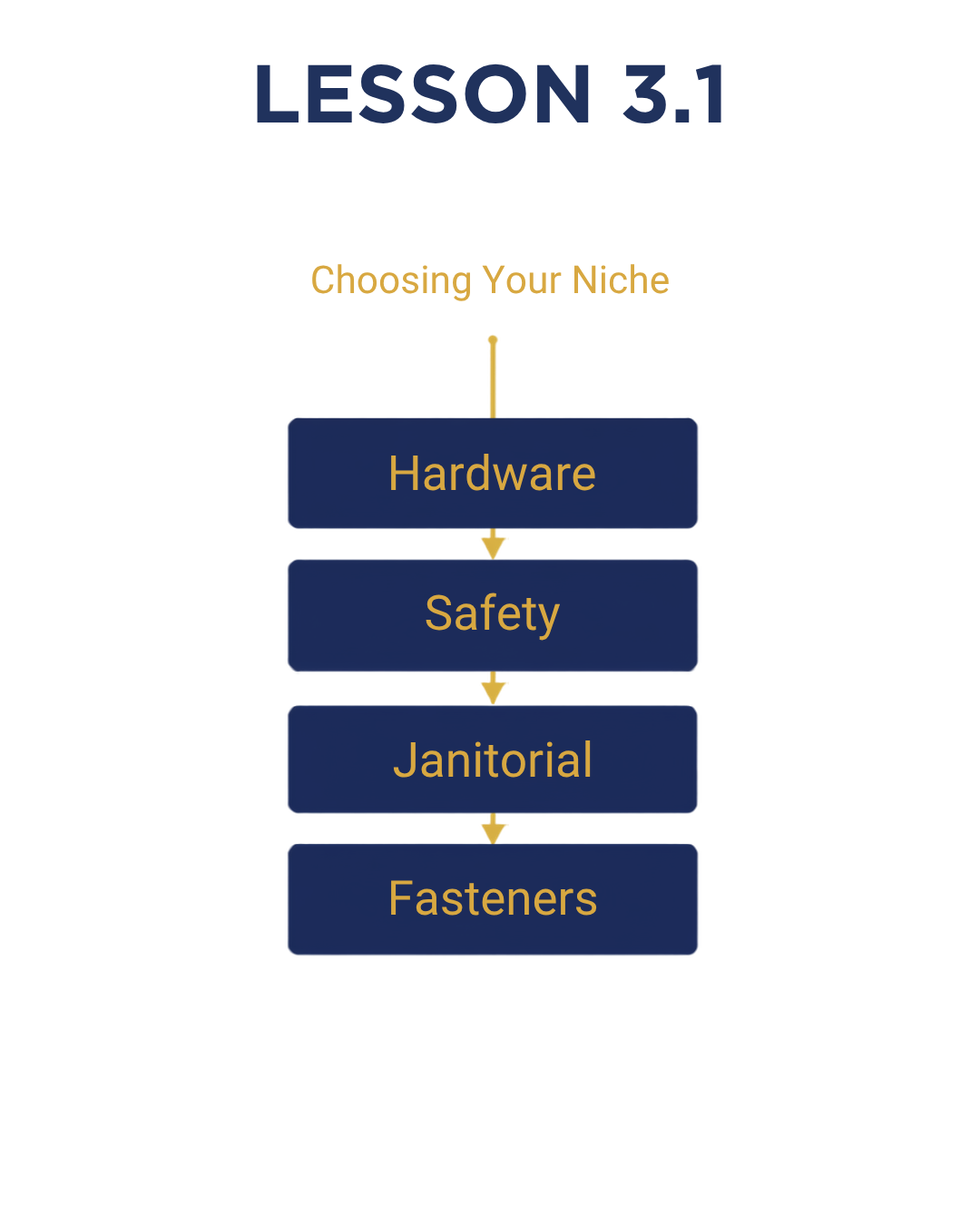 Lesson 3.1 — Choosing Your Niche